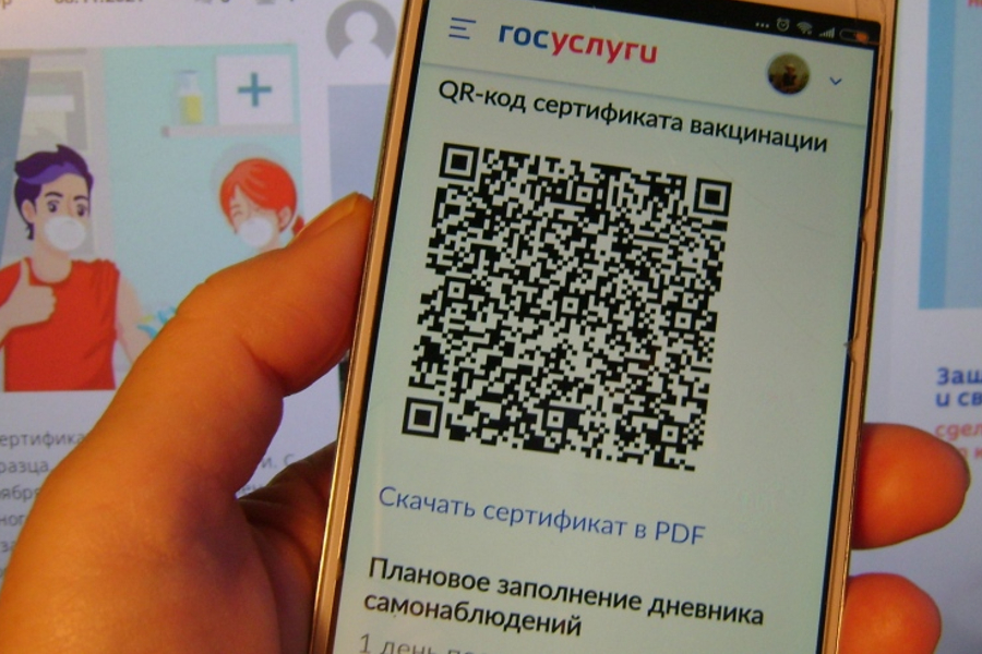 В Воронежской области вновь начнет действовать система QR-кодов