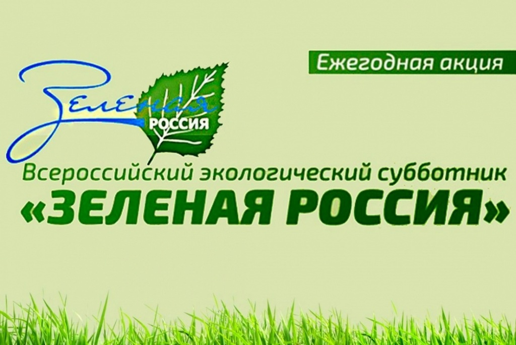  Экологический субботник «Зеленая Россия» пройдет в 85 субъектах РФ