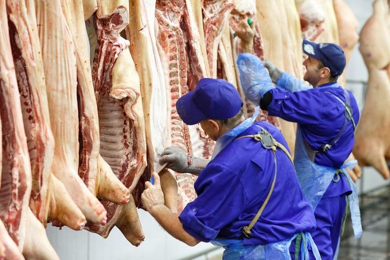 Воронежские сельхозпроизводители произвели 433 тыс. т мяса