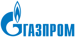 Воронежская область стала одной из площадок телемоста, организованного ПАО «Газпром» 