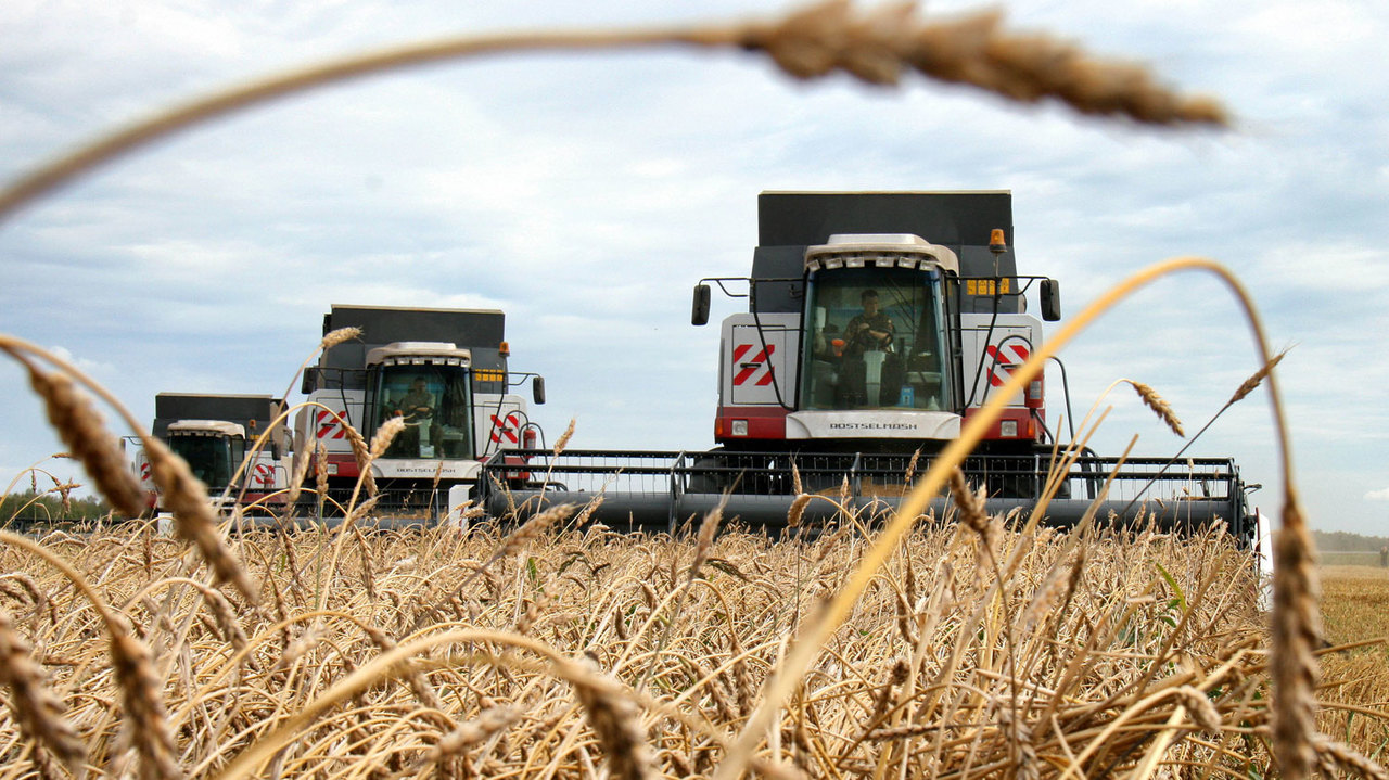 Дополнительные субсидии получат производители зерновых культур