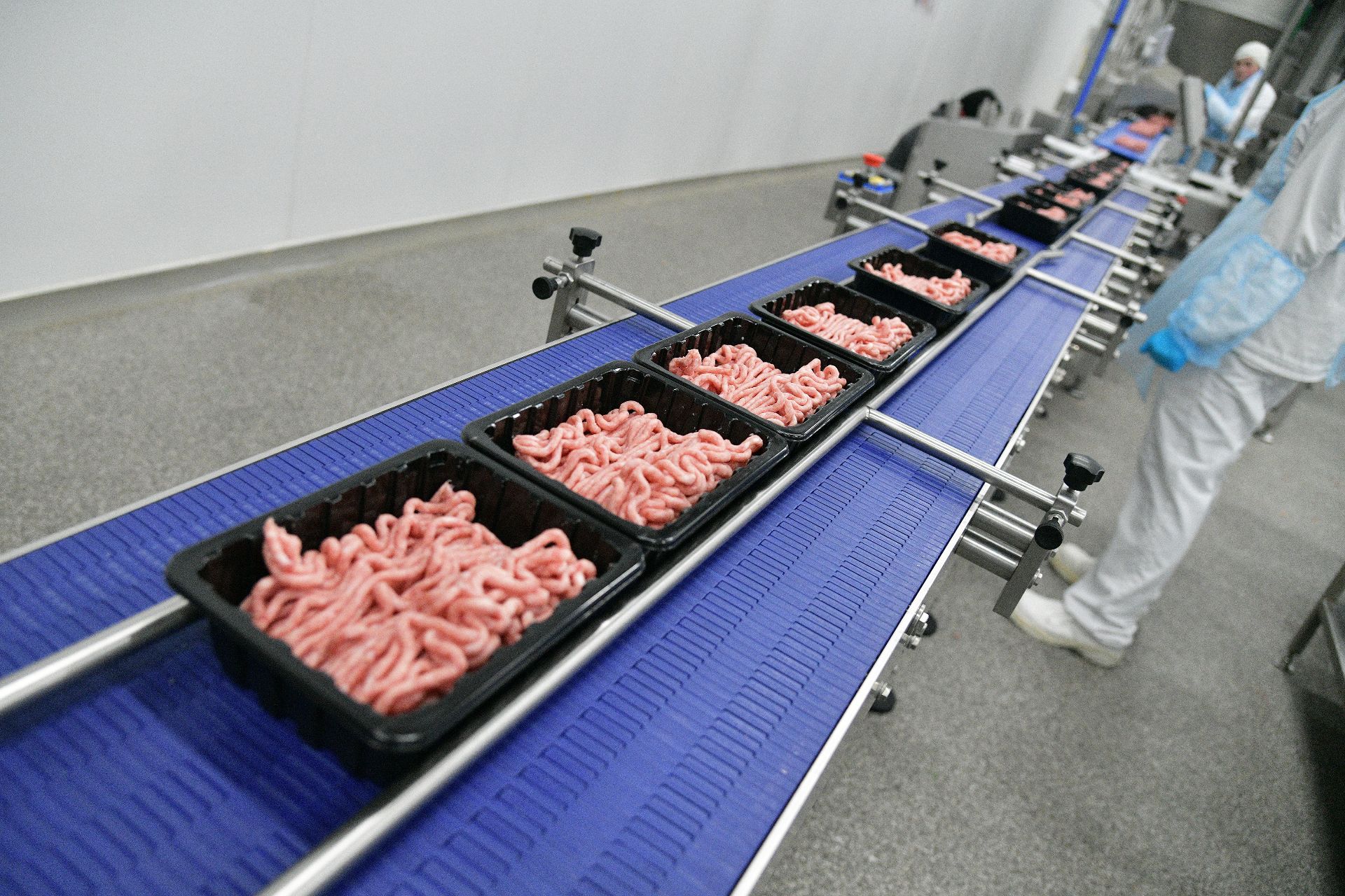 АГРОЭКО нарастила выпуск упакованного мяса на 35% и готовится к продлению смен