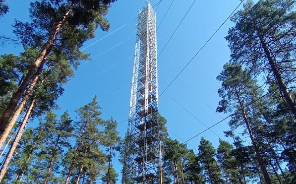 Углеродный баланс региона под контролем