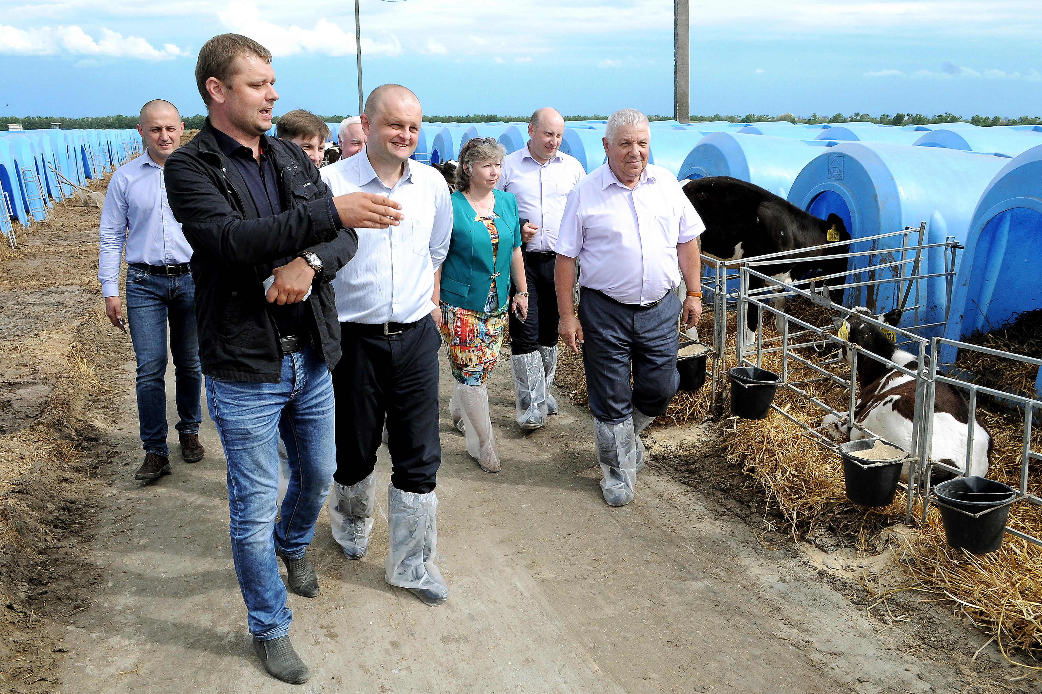 «Иннопрактика»: реализация проектов в АПК Воронежской области