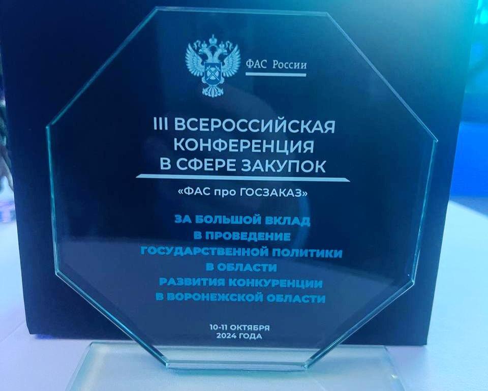 «Белая книга» приросла практиками Воронежской области