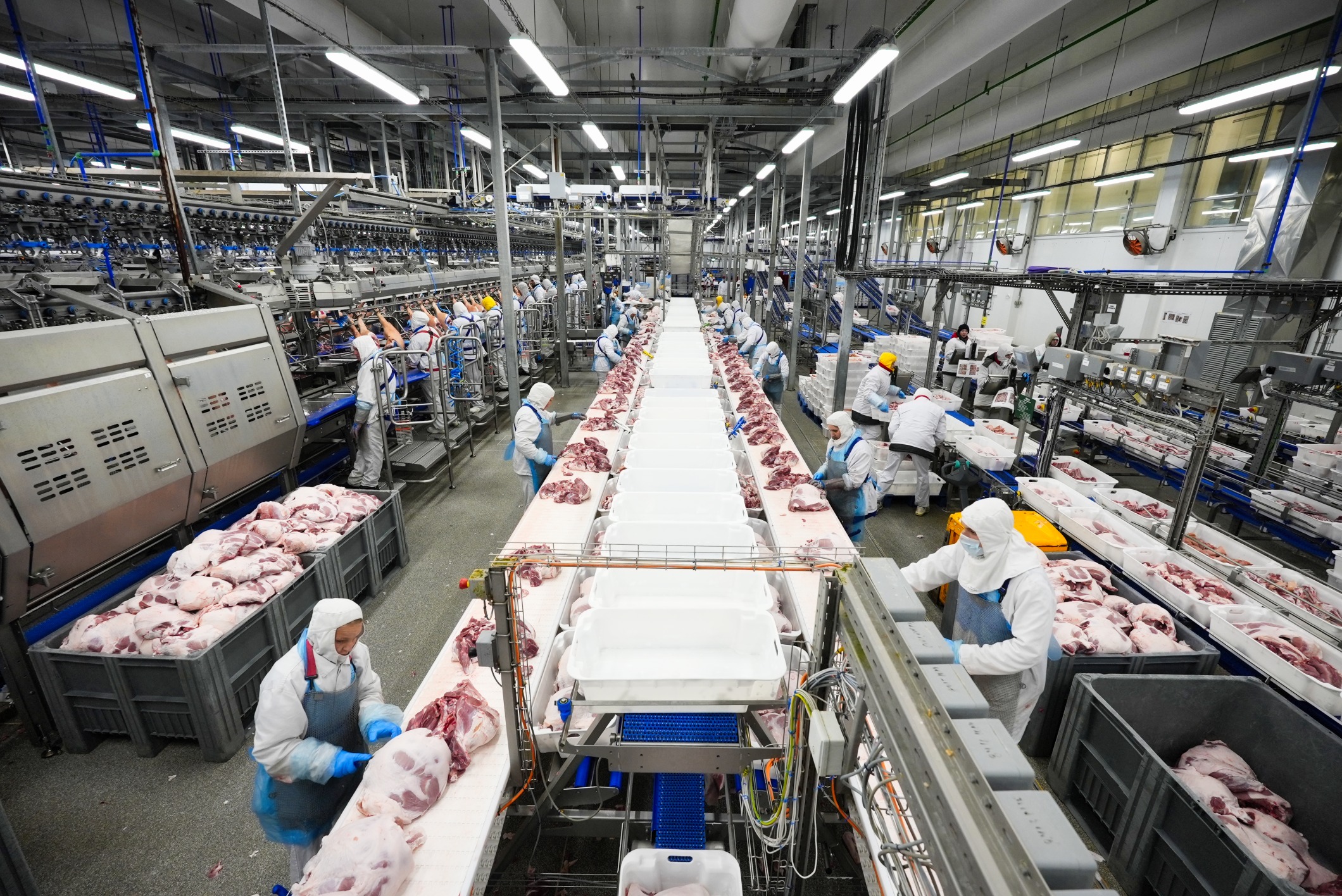 АГРОЭКО увеличила выпуск продукции на Павловском МПП на 18% за девять месяцев 2026 года
