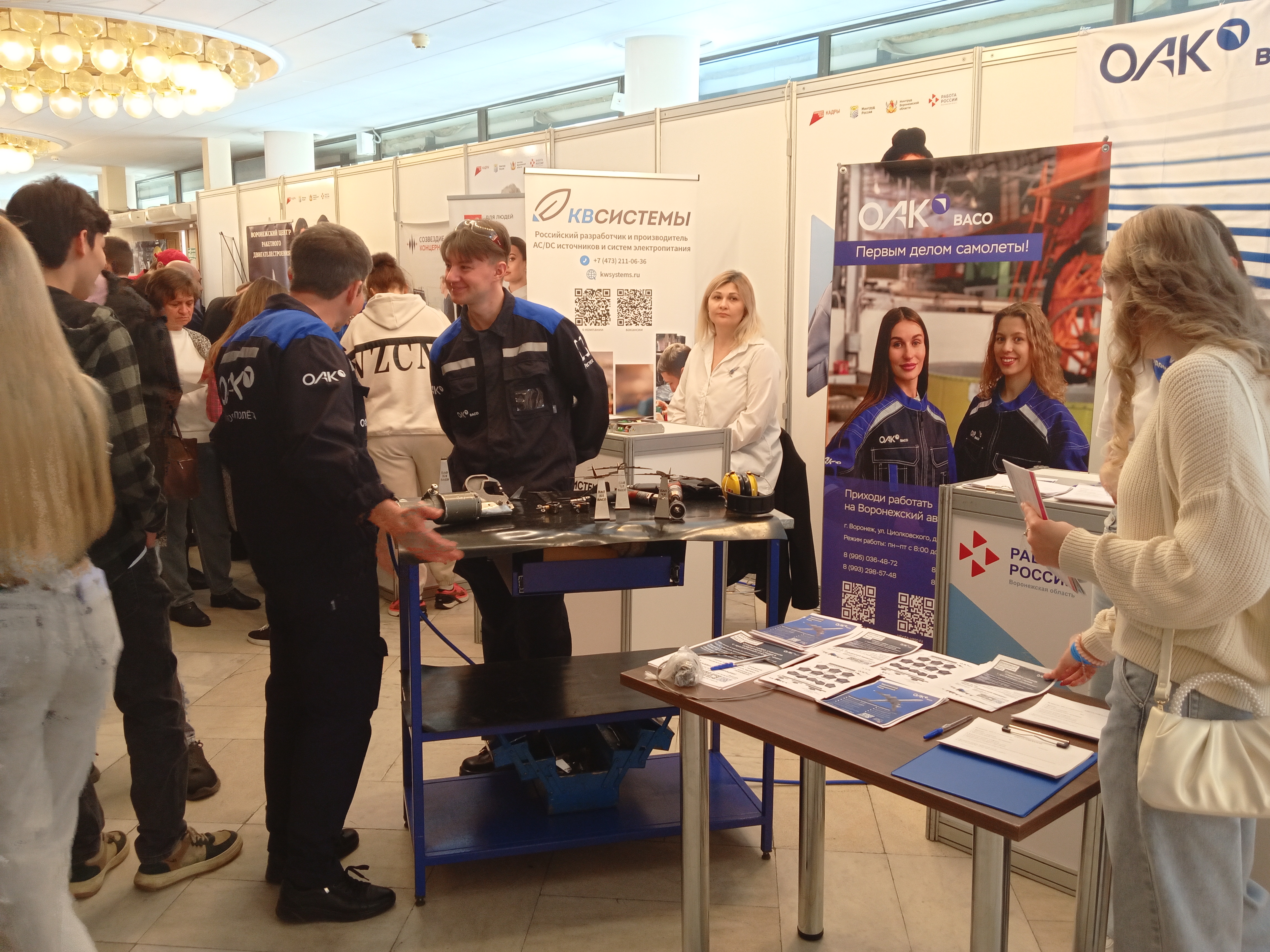 Федеральный этап Всероссийской ярмарки трудоустройства в Воронеже стартует 27 июня