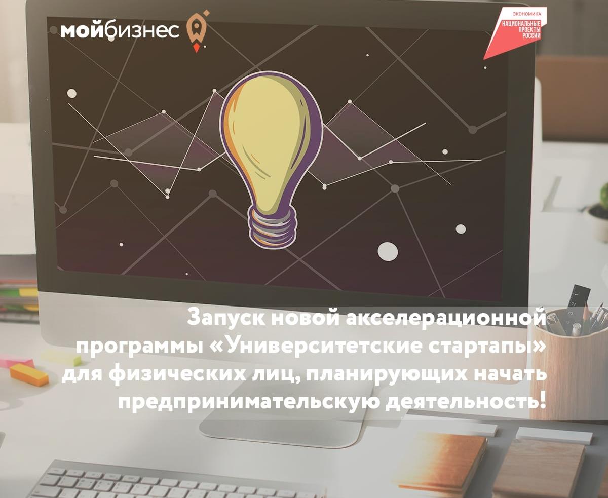 Воронежские студенты получили 31 млн рублей на стартапы: в регионе запущен акселератор для превращения идей в бизнес
