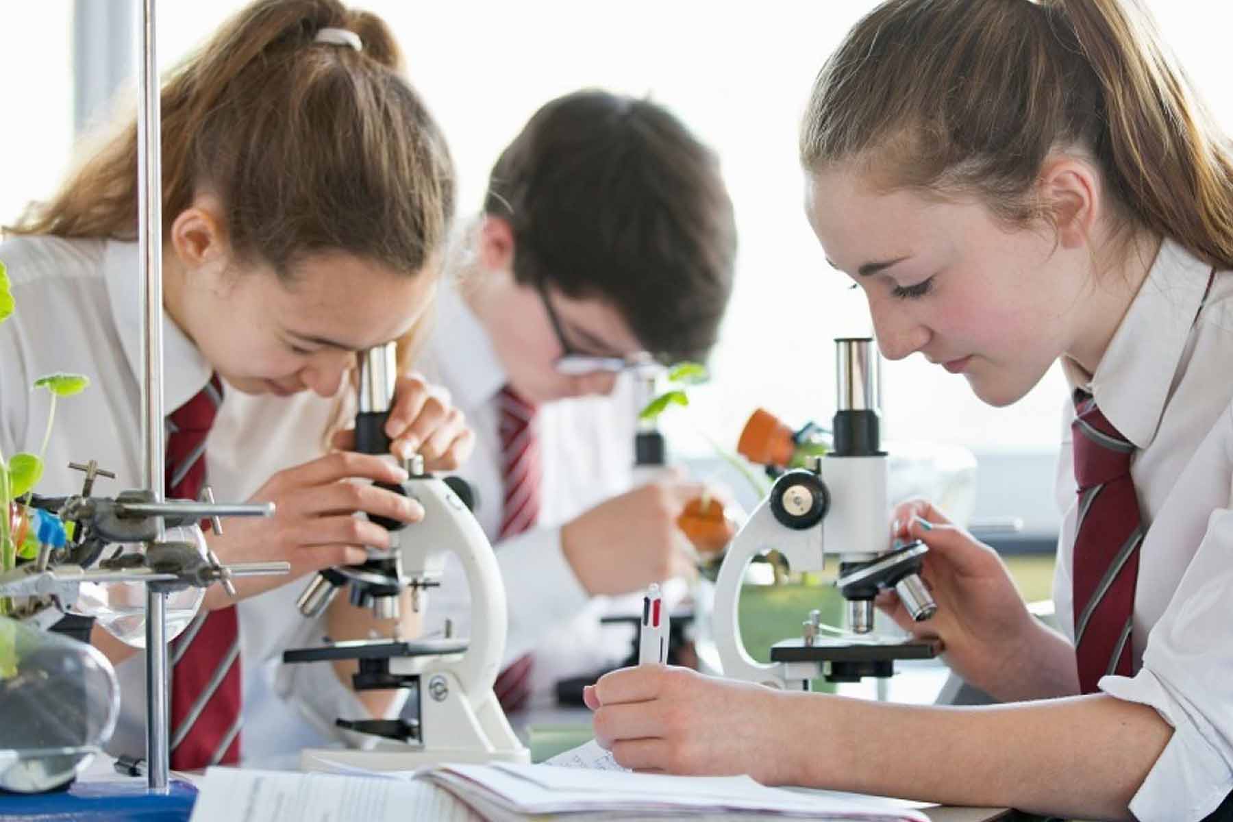 Воронежские выпускники демонстрируют рост интереса и впечатляющие результаты по естественным наукам