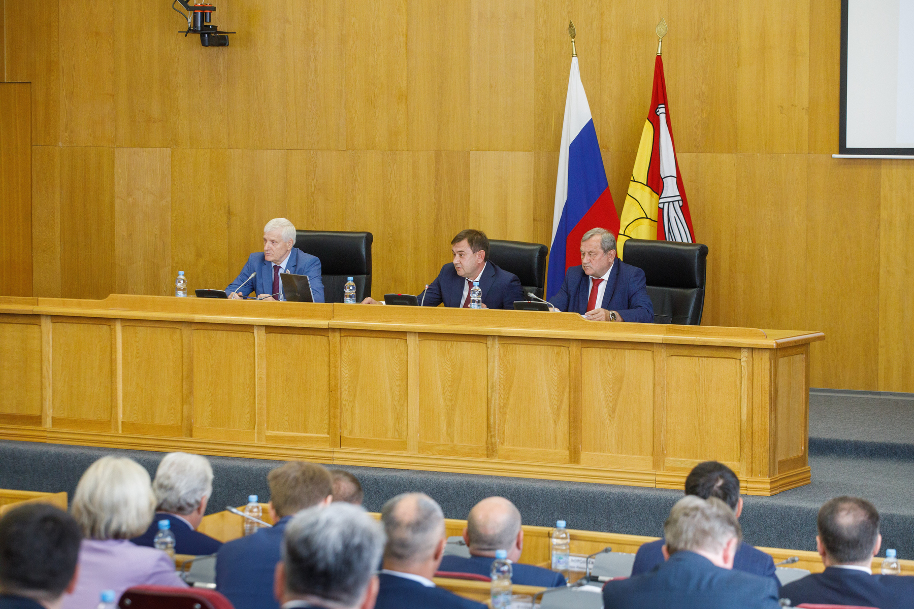 Профицит в миллиард рублей: результаты исполнения бюджет-2024 представлены Воронежской областной Думы