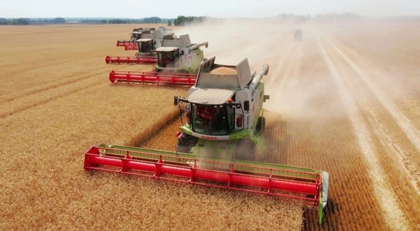 В Воронежской области аграрии собрали второй миллион тонн зерна