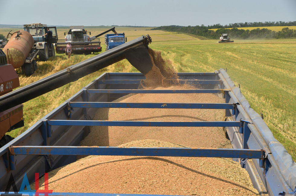 5 млн тонн зерна намолотили воронежские аграрии