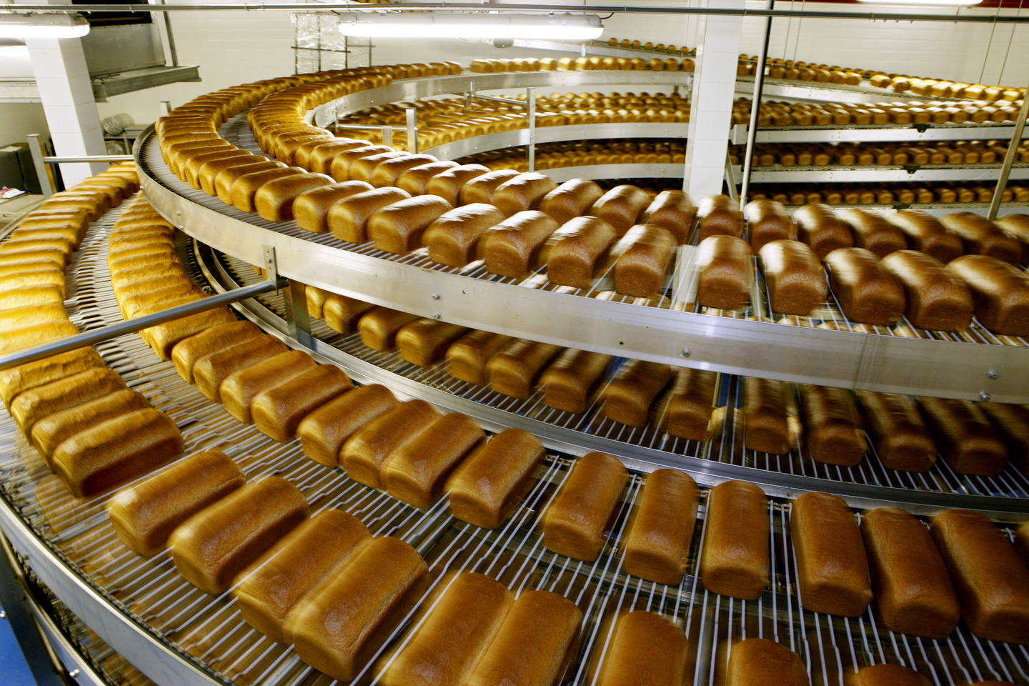 Производство хлеба и хлебобулочных изделий растет по итогам 10 месяцев