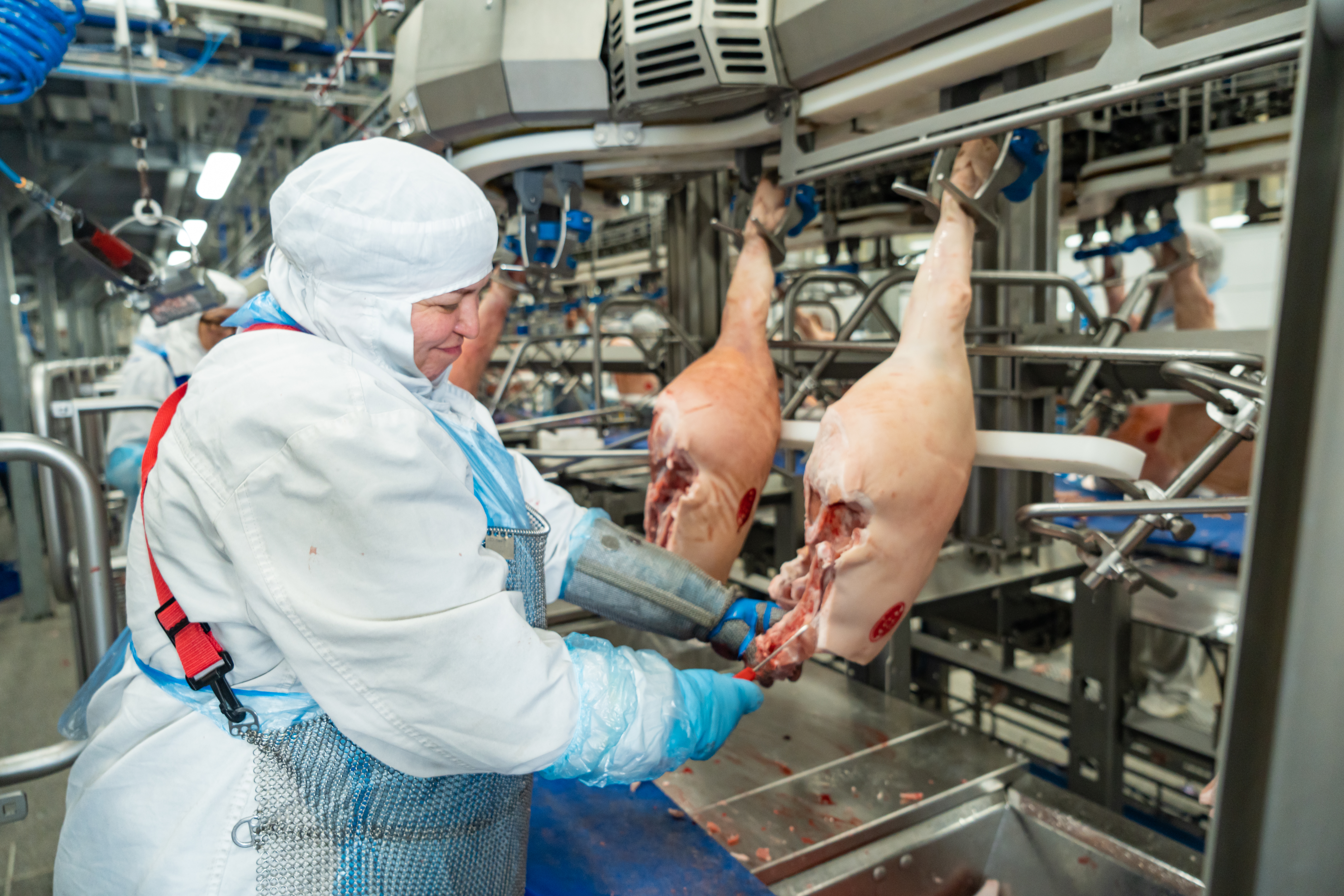 АГРОЭКО наращивает объемы производства и планирует развитие мощностей глубокой переработки