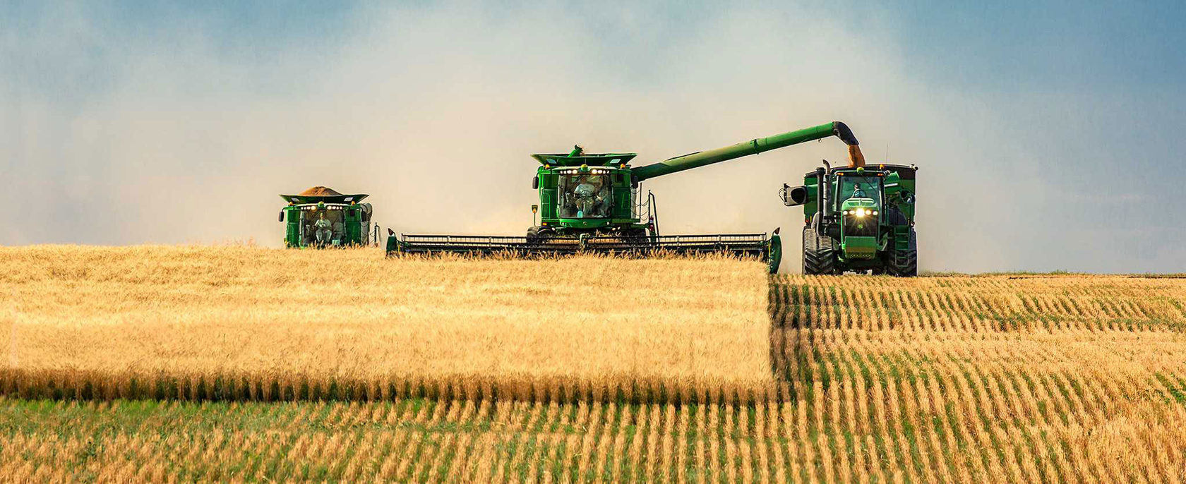 На сельхозпредприятиях Воронежской области к 2023 году создадут более 5 тысяч новых рабочих мест