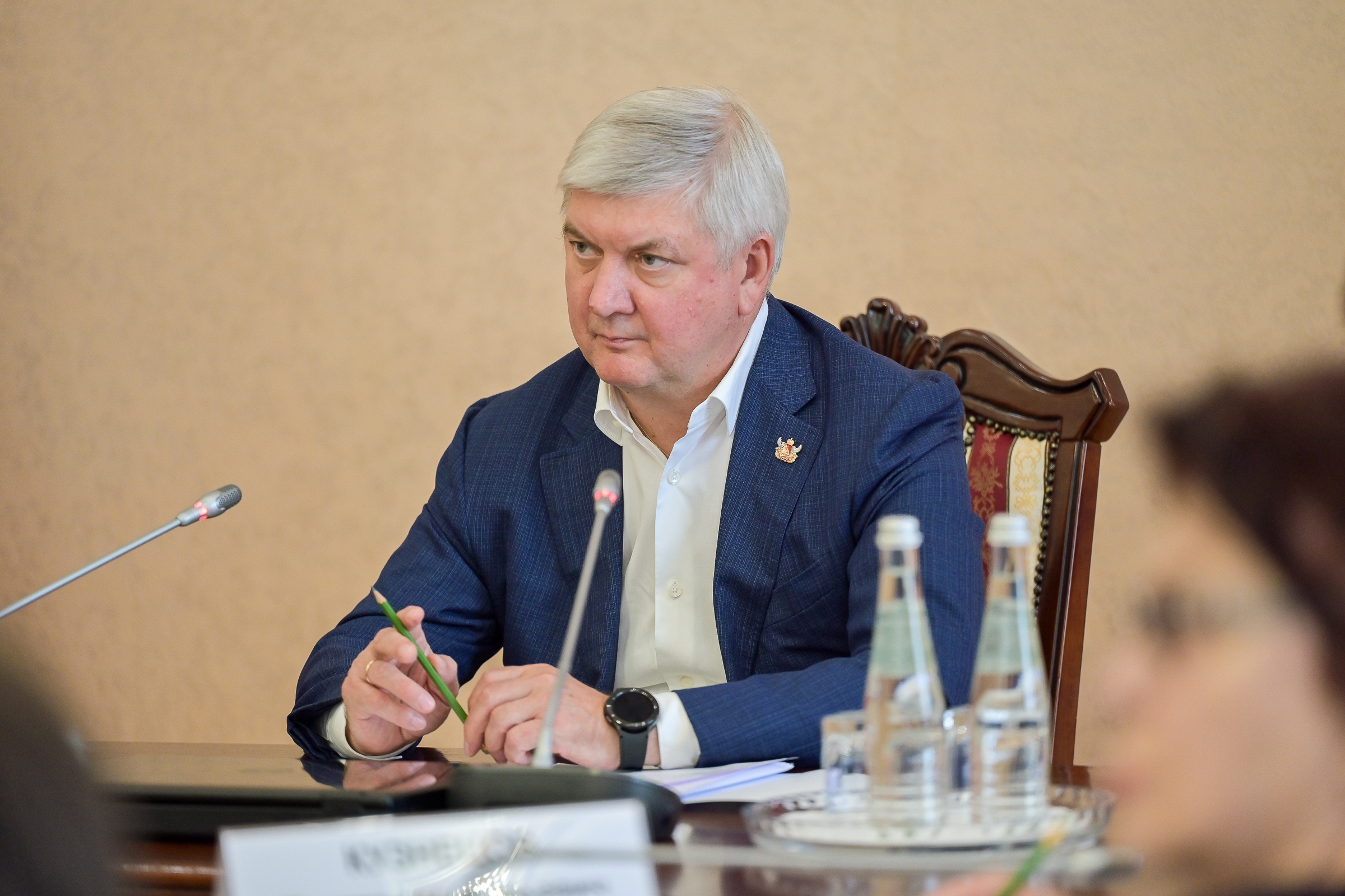 Будущее Павловского района обсудили в областном правительстве