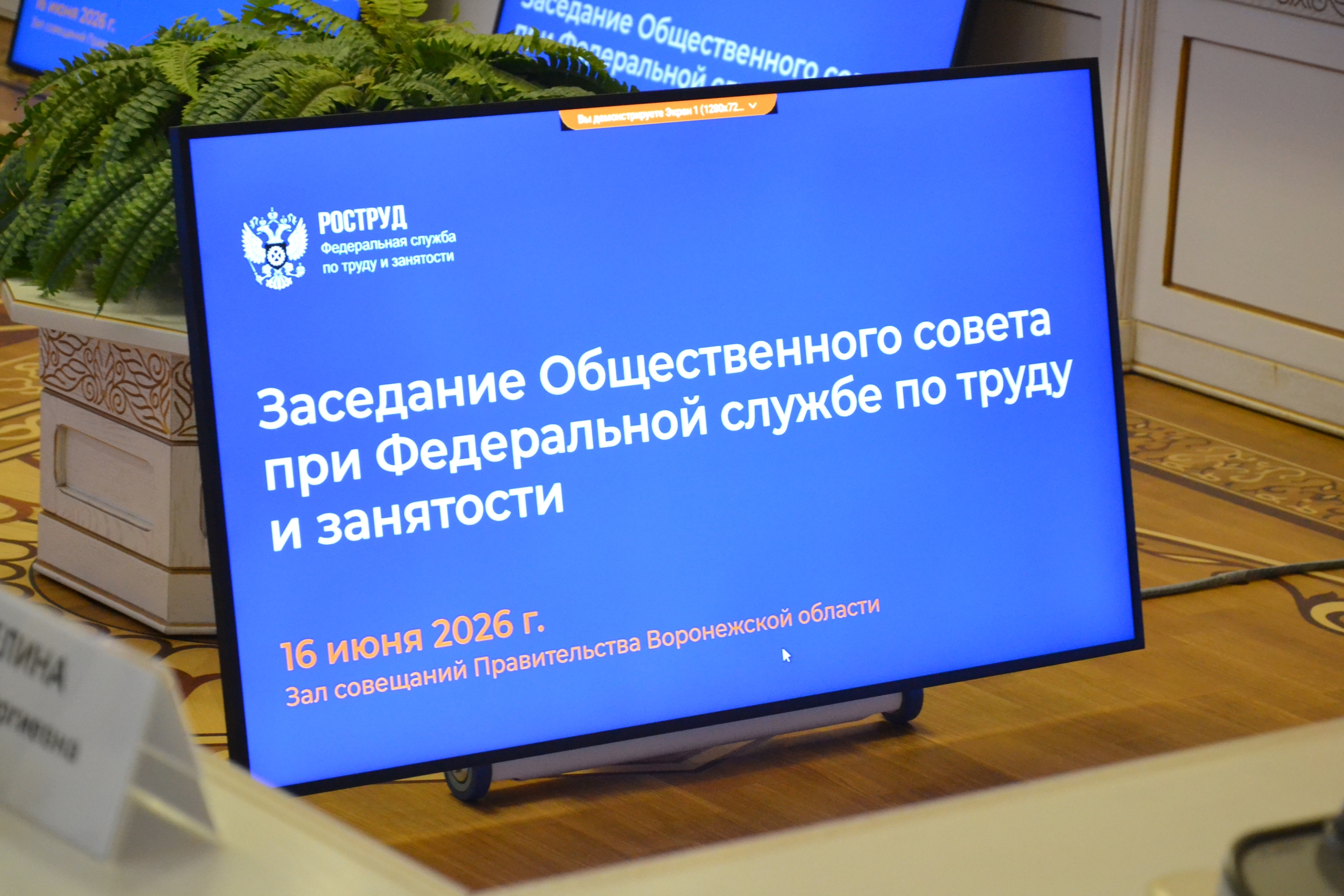Воронежская область представила модель реинтеграции ветеранов СВО на выездном заседании Общественного совета при Роструде