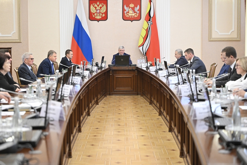 Воронежская область представила бюджет-2026