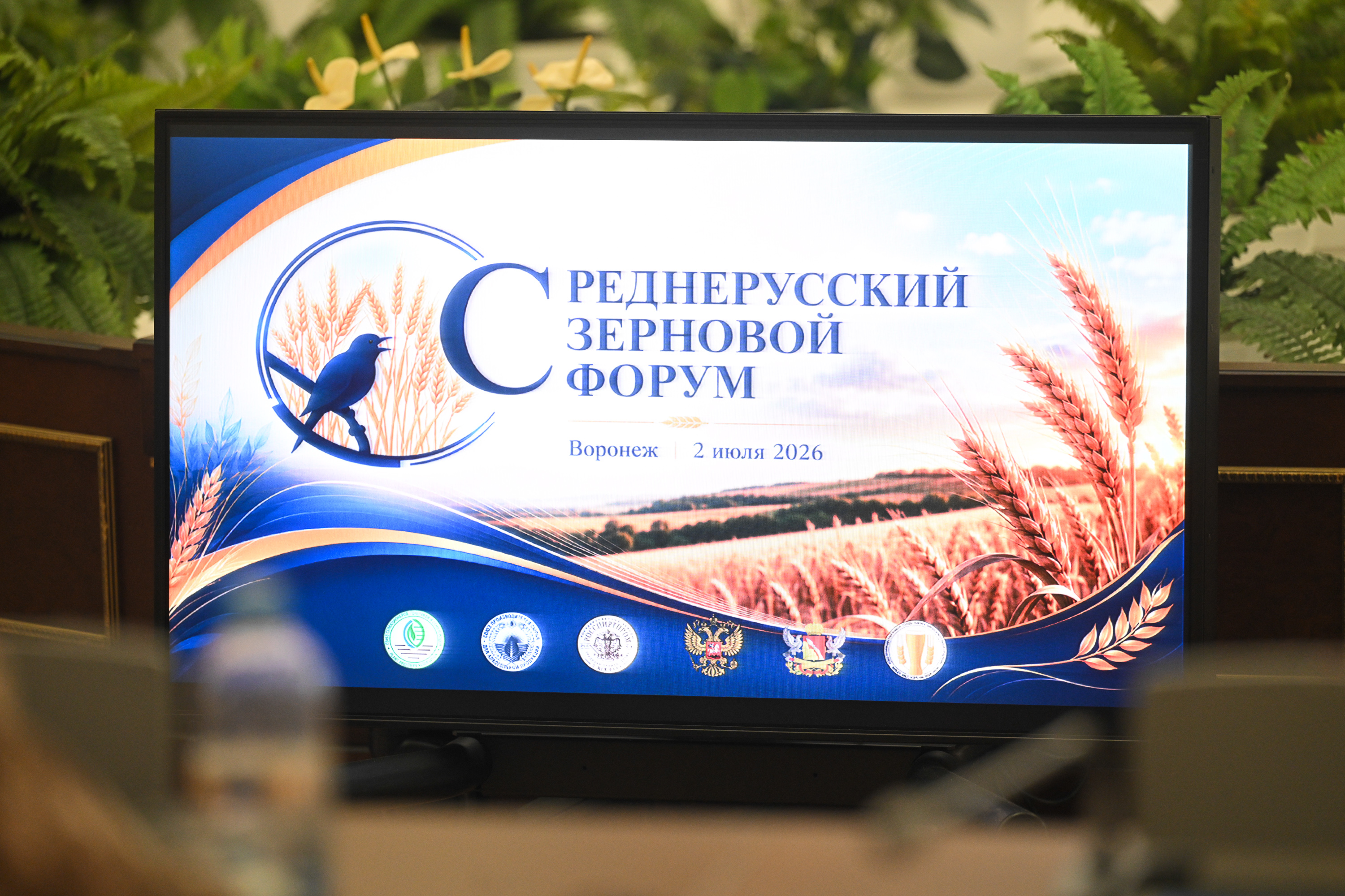 В Воронеже обсудили экспортный потенциал и технологический суверенитет: итоги юбилейного Среднерусского зернового форума