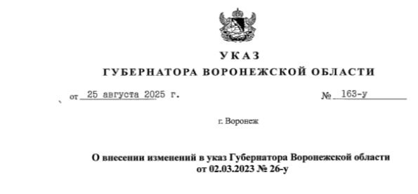В Воронежской области ввели запрет на публикацию данных о последствиях атак дронов