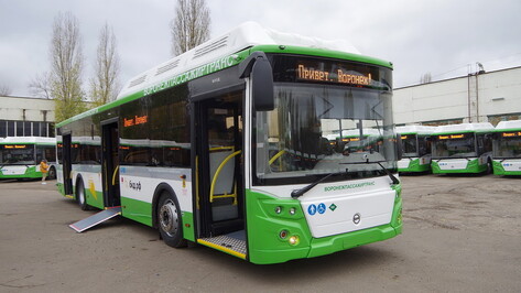 Новая маршрутная сеть поэтапно будет вводиться в Воронеже