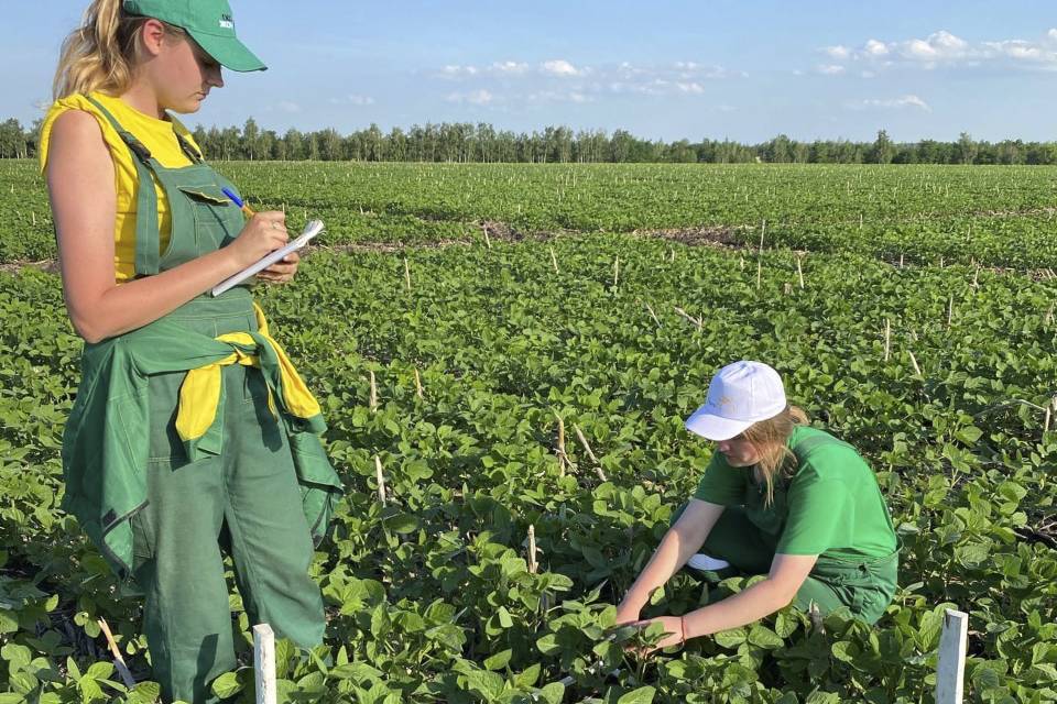 Майские заморозки в Воронежской области могут отразиться на стоимости продукции растениеводства 