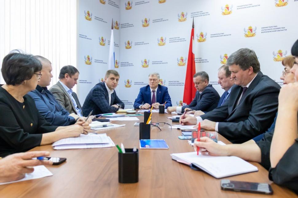 В 2025 году посевная площадь в Воронежской области вырастет на 88 тысяч гектаров