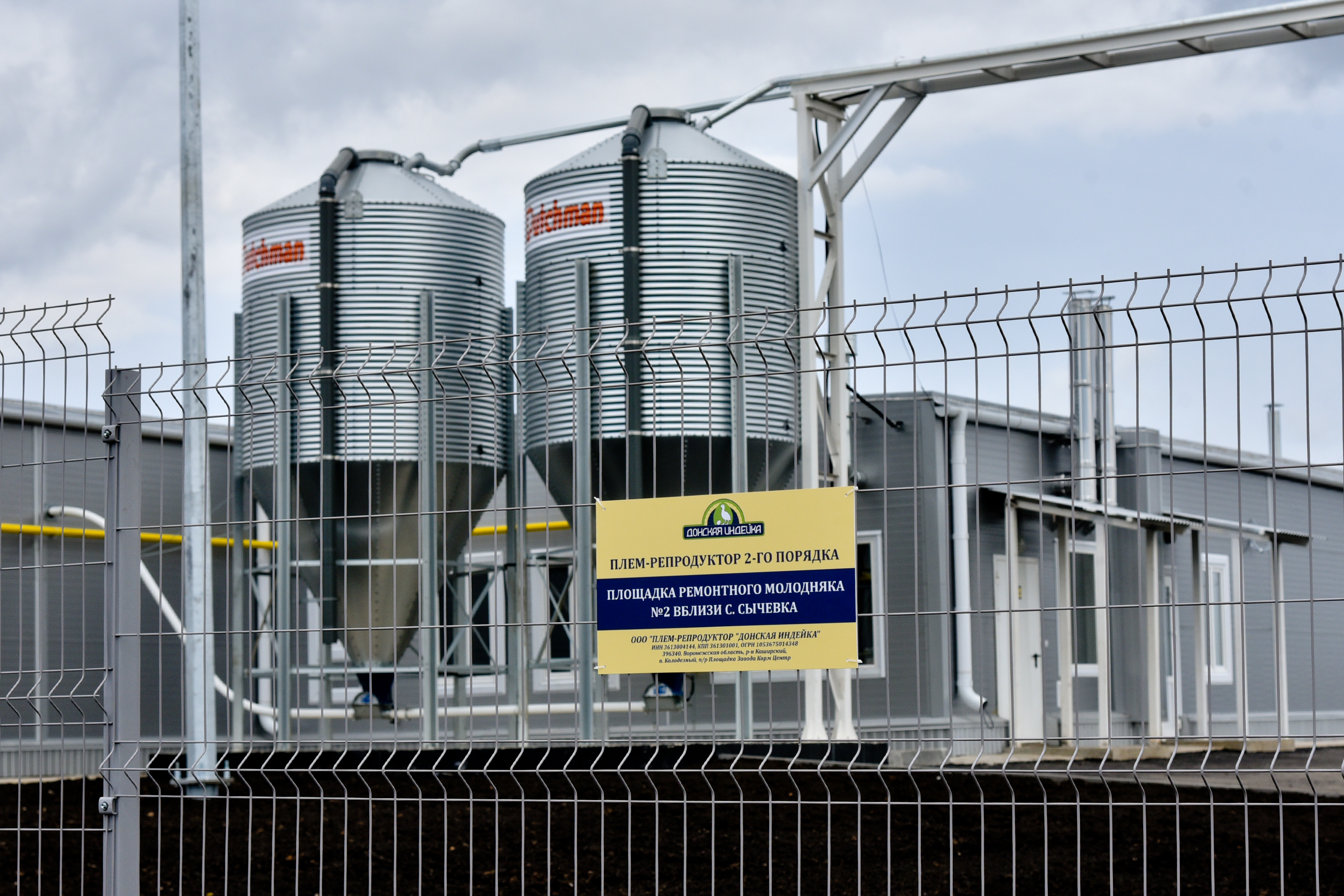 Воронежская компания «Донская индейка» запустила пллемрепродуктор по производству 6 млн яиц индейки в год