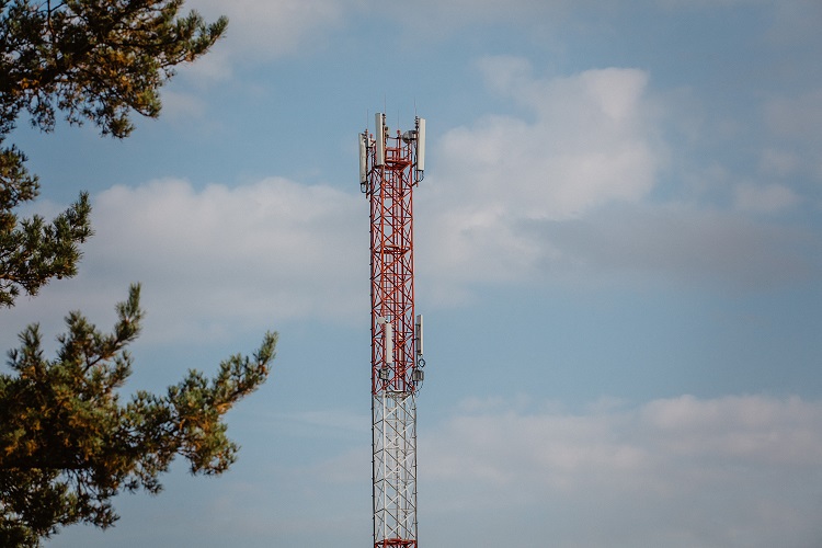 Быстрее орловских рысаков: в селах Черноземья выросла скорость интернета