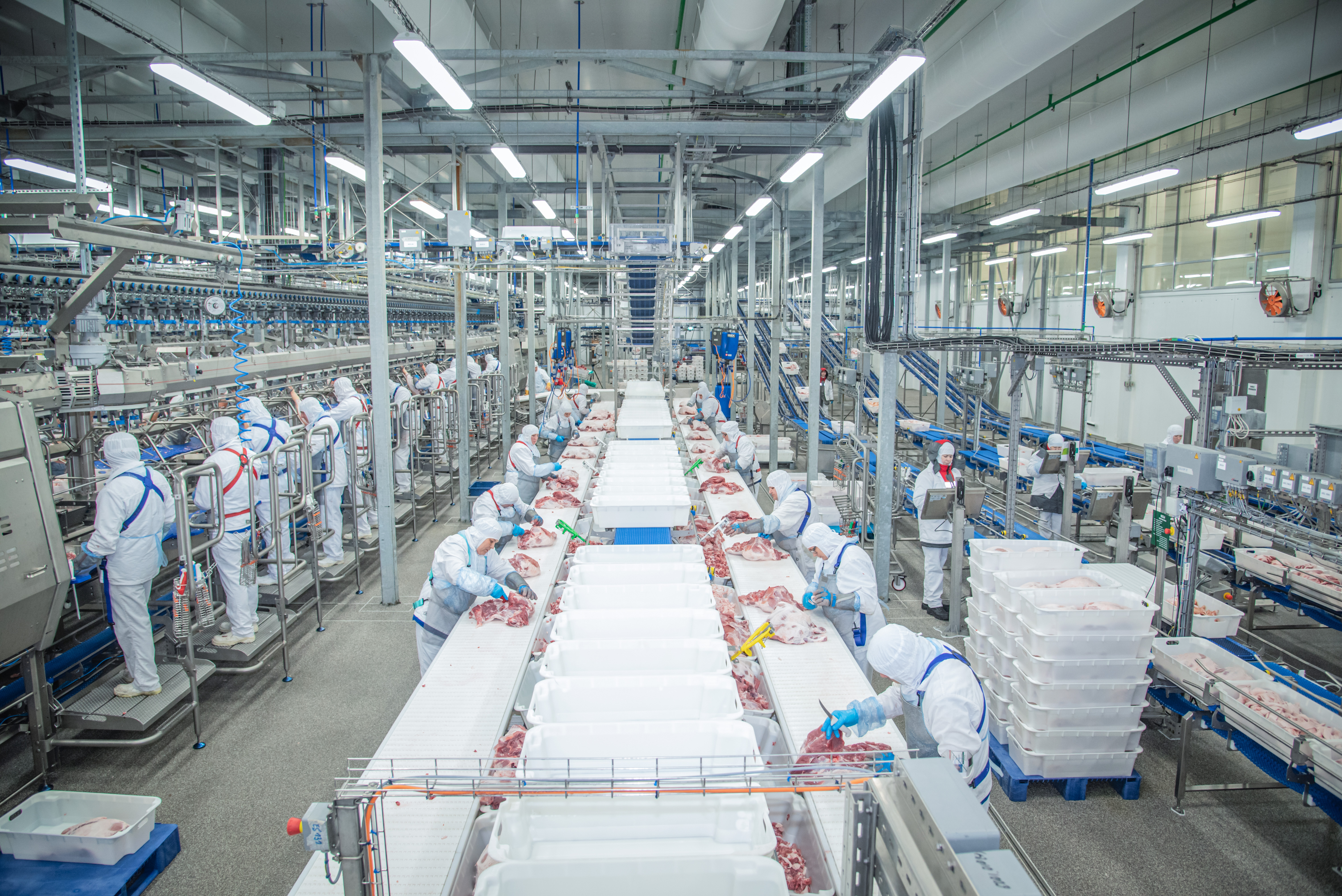 АГРОЭКО увеличила выпуск упакованной продукции на 15%