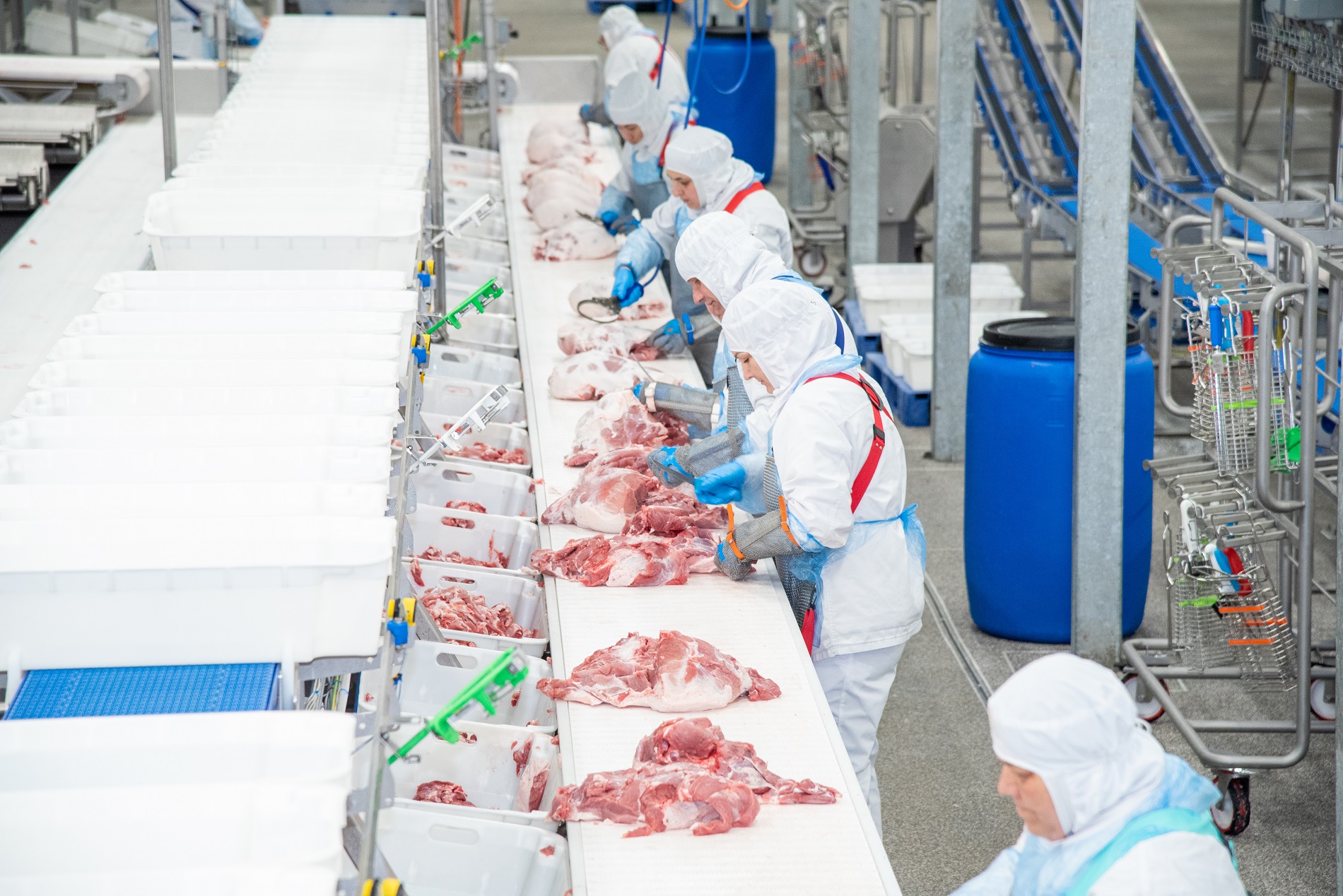 Мясоперерабатывающее предприятие АГРОЭКО нарастило объемы производства упакованной свинины