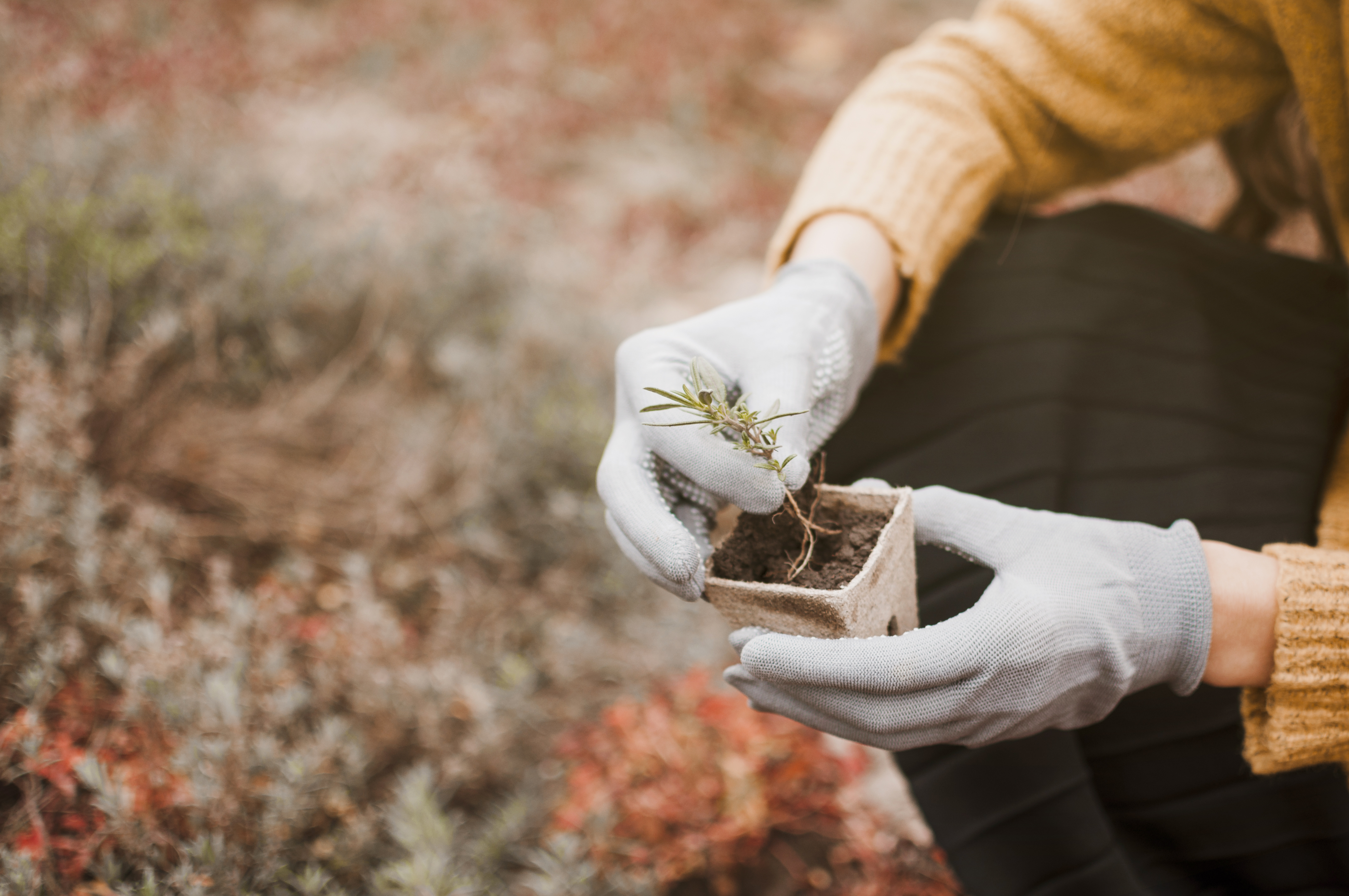 Россельхознадзор: 73 предупреждения за нарушения продажи семян