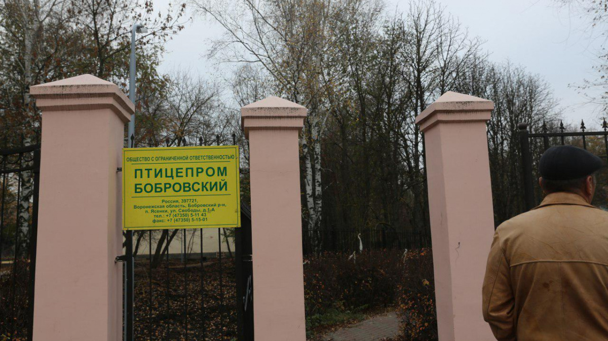 Имущество «Птицепрома Бобровский» ушло с открытых торгов за 570,5 млн рублей