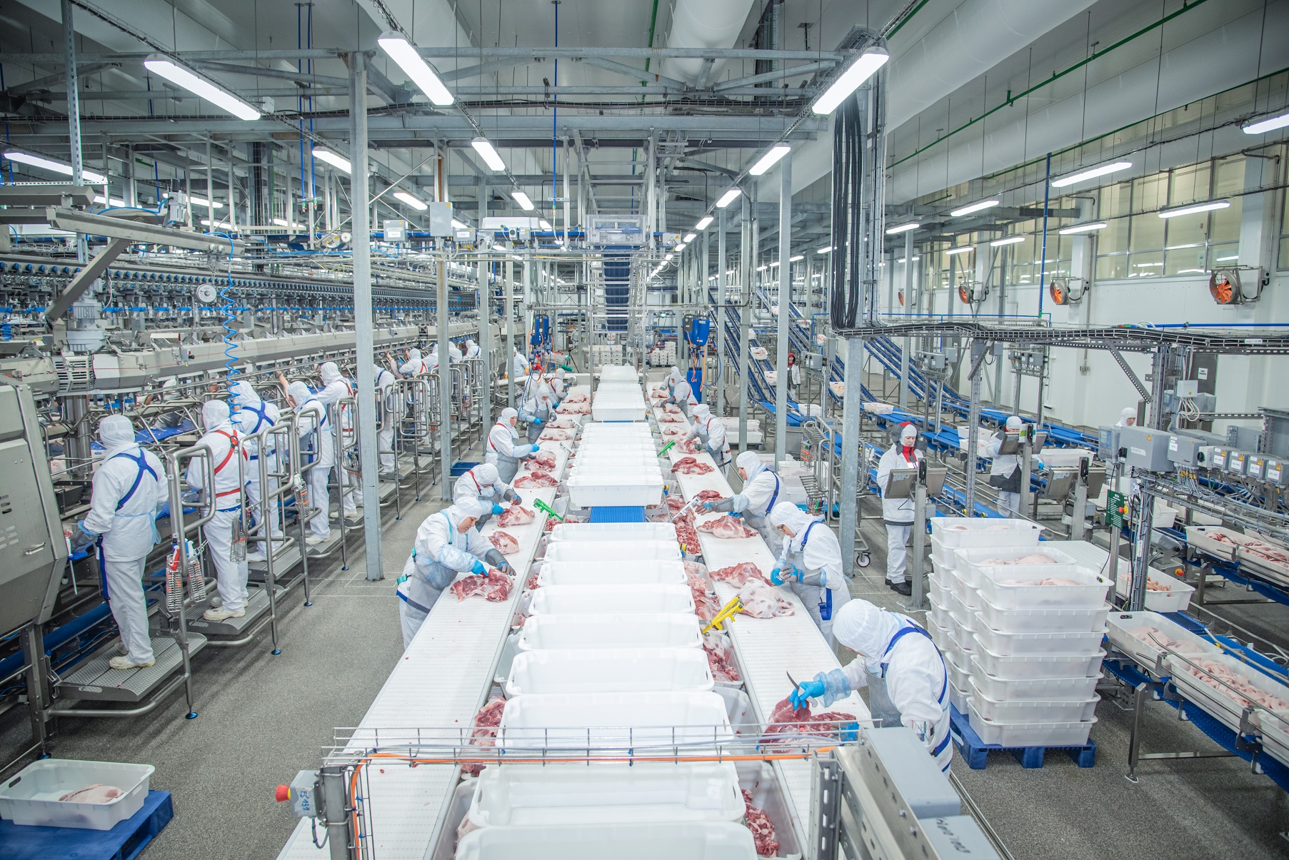 Мясопереработка АГРОЭКО: увеличиваем долю производства упакованной продукции