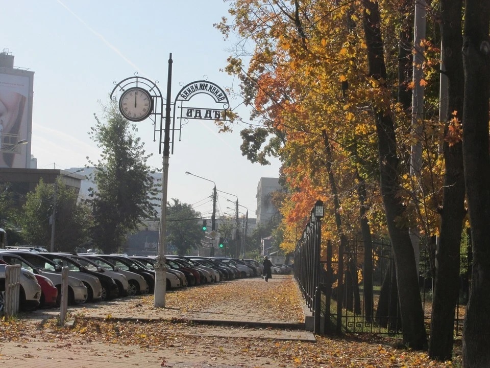 Мэрия Воронежа: благоустройство Бринкманского сада