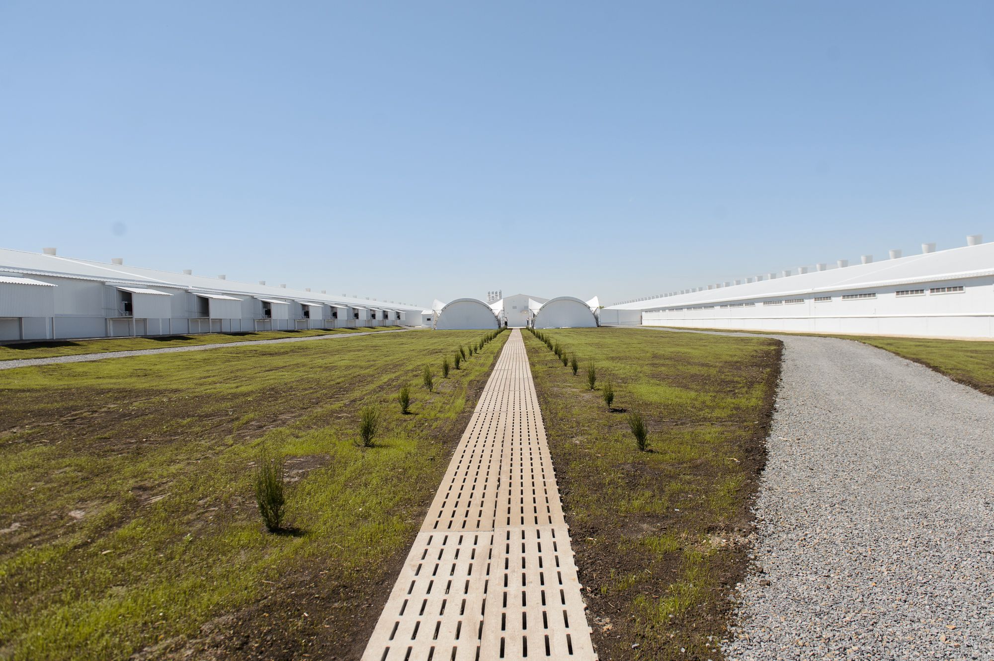 Сразу в двух районах области вскоре начнут работать крупные сельхозпредприятия