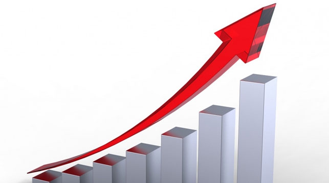 Росстат отметил рост экономики Воронежской области