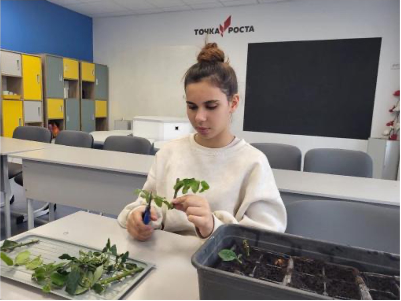 Воронежские школьники заглянули в будущее на Профпробах-2024