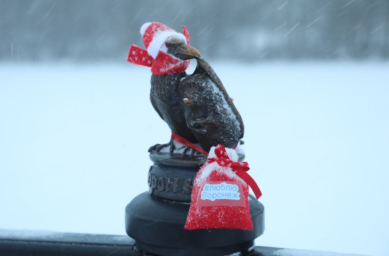 Воронеж готовится к празднованию Нового 2026 года: утверждена обширная программа мероприятий