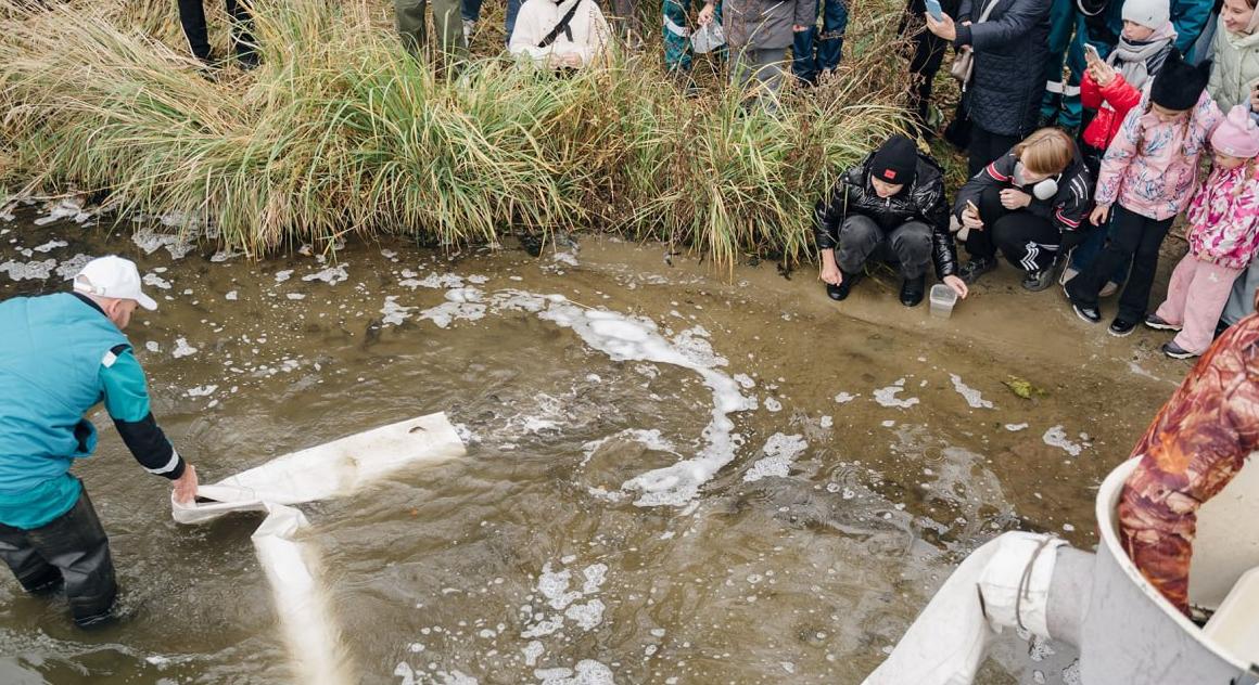 Не просто мальки: как экологические инвестиции становятся частью бизнес-модели промышленных компаний