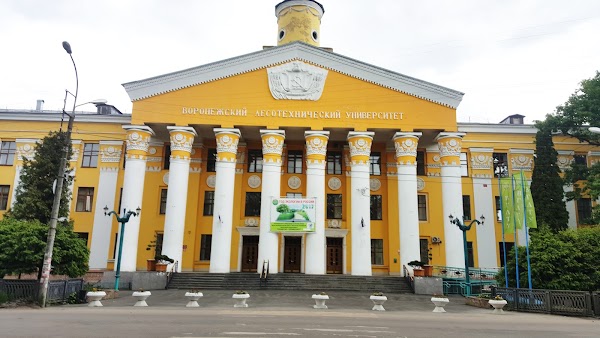 95-летие ВГЛТУ