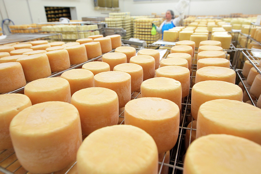 Воронежская область демонстрирует лучшие результаты в стране по производству сливочного масла и сыра