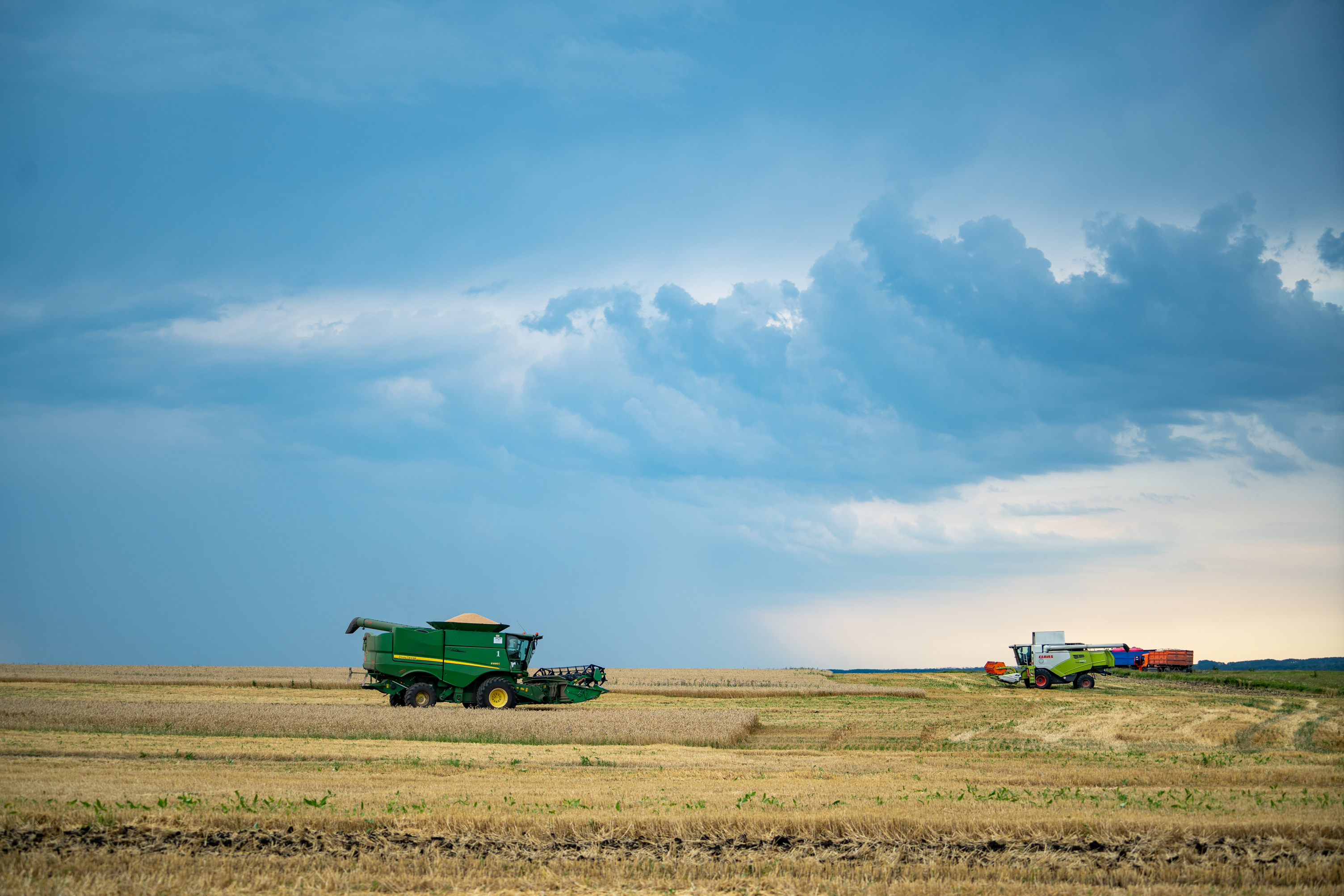 В Воронежской области завершилась уборка ранних зерновых 